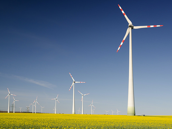 windkraftwerke im rapsfeld