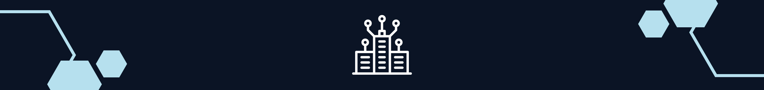 Icon Enterprise Architektur